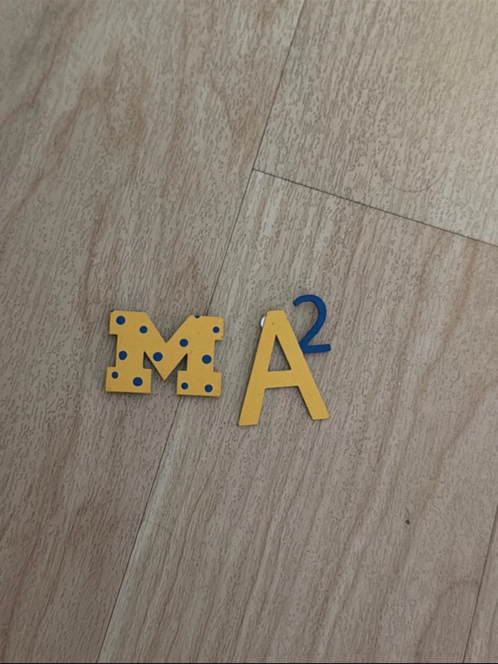 Authentic University of Michigan Magnets - Block M & A2 (Ann Arbor),